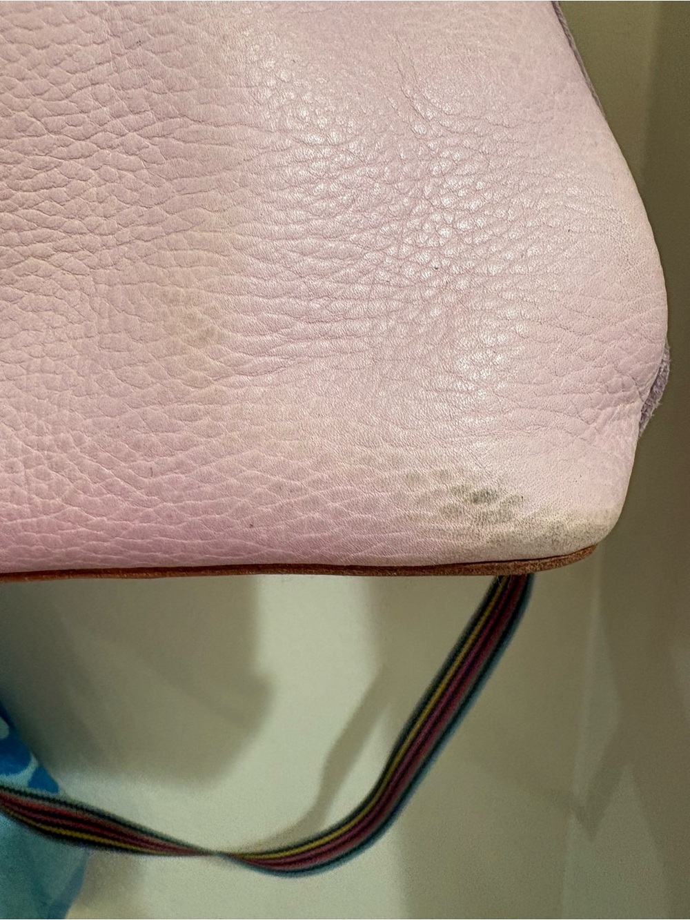 Consuela | Leather Crossbody with Striped Strap - Picture 8 of 17